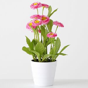 Искусственный цветок в горшке Bellis 30 см розовый Boltze фото 5