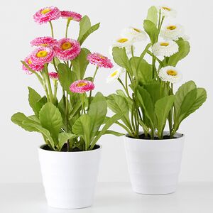 Искусственный цветок в горшке Bellis 30 см белый Boltze фото 5