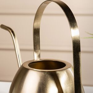 Лейка для комнатных растений Голдиера 1.5 л, металл Edelman (Эдельман) фото 2