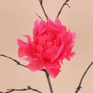 Искусственный цветок из перьев Dafne 12 см розовый, клипса Edelman фото 2