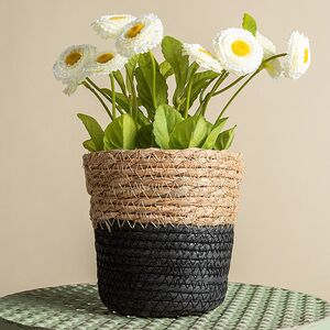 Декоративное кашпо Вениджи 12*12 см