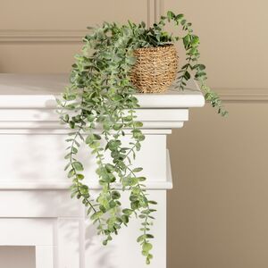 Искусственное растение в горшке Эвкалипт 55 см Edelman (Эдельман) фото 1