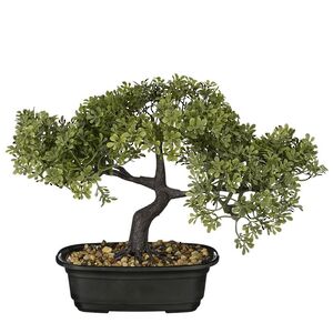 Искусственный бонсай Конкордия 33 см