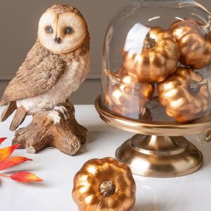 Стеклянный клош для декора Lillian 25*15 см Koopman фото 4