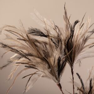 Декоративная ветка Dandelion 75 см коричневая Edelman фото 3