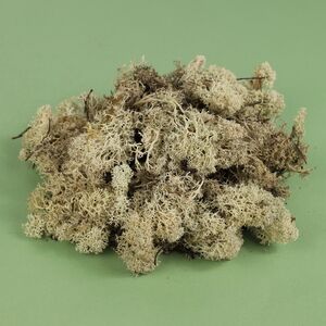 Декоративный мох Mica светлый, 50 г