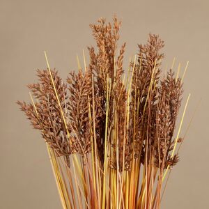 Искусственный букет Triticum 48 см Boltze фото 6