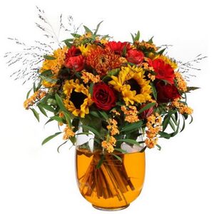 Краситель для воды Pugsley 150 мл оранжевый Ideas4Seasons фото 2