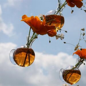 Краситель для воды Pugsley 150 мл оранжевый Ideas4Seasons фото 4