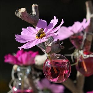 Краситель для воды Pugsley 150 мл розовый Ideas4Seasons фото 2