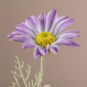 Искусственная ветка Ромашка - Summer Freshness 65 см фиолетовая EDG фото 3
