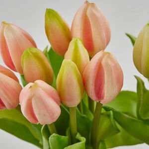 Силиконовые тюльпаны Идальго 9 шт, 29 см нежно-розовые EDG (ЭДГ) фото 9