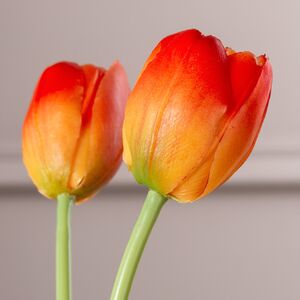 Силиконовые тюльпаны Верналис 5 шт, 40 см оранжевые EDG (ЭДГ) фото 4
