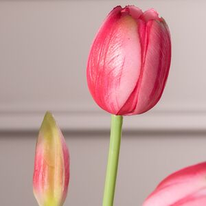 Силиконовые тюльпаны Верналис 5 шт, 40 см розовые EDG (ЭДГ) фото 4