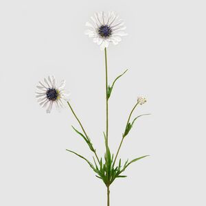 Искуcственный цветок Scabiosa - Perfecta White 65 см EDG фото 7