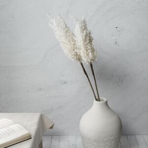 Декоративная ветка с перьями Coral Serenity: Beige 88 см