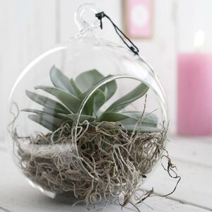 Стеклянный шар для декора Melone 12 см Ideas4Seasons фото 1
