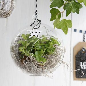 Стеклянный шар для декора Melone 12 см Ideas4Seasons фото 3