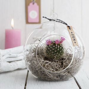 Стеклянный шар для декора Melone 14 см Ideas4Seasons фото 1