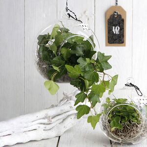 Стеклянный шар для декора Melone 14 см Ideas4Seasons фото 2