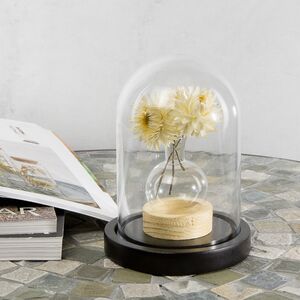 Стеклянный клош для декора Murich 16 см Ideas4Seasons фото 2