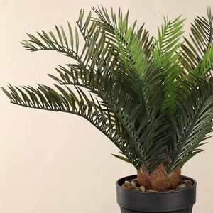 Искусственное растение в горшке Foglie di Palma 30 см Koopman фото 2