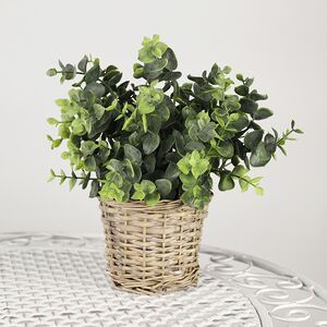 Искусственный эвкалипт в горшке Belarra 28 см