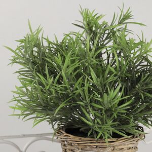 Искусственный эвкалипт в горшке Hierba 26 см Koopman фото 2