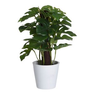 Искусственное растение в горшке Monstera 25 см Koopman фото 4