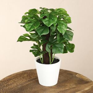 Искусственное растение в горшке Monstera 25 см Koopman фото 3