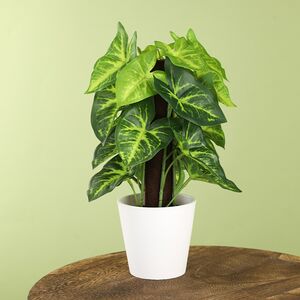 Искусственное растение в горшке Taro 25 см