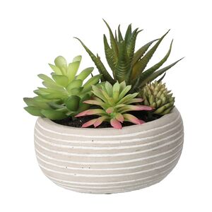Искусственное растение в кашпо Succulent: Protegos 14 см Koopman фото 3