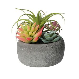 Искусственное растение в кашпо Succulent: Defole 13 см Koopman фото 3