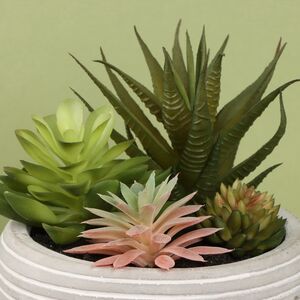 Искусственное растение в кашпо Succulent: Protegos 14 см Koopman фото 2
