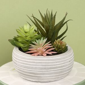 Искусственное растение в кашпо Succulent: Protegos 14 см