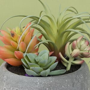 Искусственное растение в кашпо Succulent: Defole 13 см Koopman фото 2