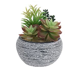 Искусственное растение в кашпо Succulent: Liberta 17 см Koopman фото 3