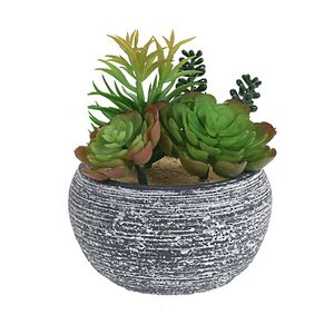 Искусственное растение в кашпо Succulent: Pacificazio 17 см Koopman фото 3