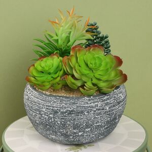 Искусственное растение в кашпо Succulent: Liberta 17 см