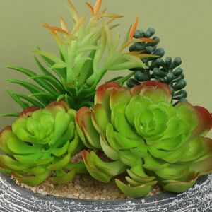 Искусственное растение в кашпо Succulent: Liberta 17 см Koopman фото 2