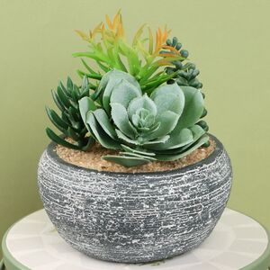 Искусственное растение в кашпо Succulent: Pace Della 17 см
