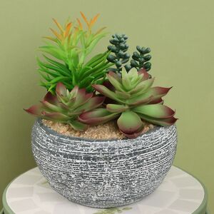 Искусственное растение в кашпо Succulent: Pacificazio 17 см