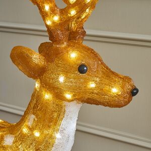 Светодиодный Олень Гард 118 см, 200 теплых белых LED ламп, акрил, IP44 Winter Deco фото 2