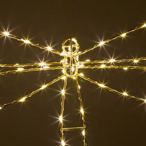 Плоское светодиодное украшение Стрекоза 50 см, 70 теплых белых LED ламп, IP44 Winter Deco фото 4