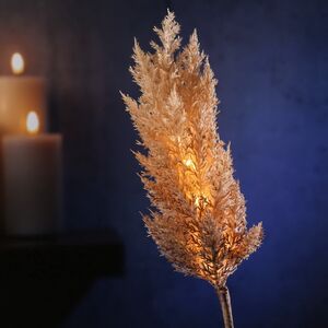 Светящаяся ветка для декора Pampas Caramel 70 см, теплые белые LED, на батарейках Kaemingk фото 9