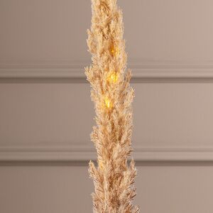 Светящаяся ветка для декора Cortaderia Brownie 70 см, теплые белые LED, на батарейках Kaemingk фото 4