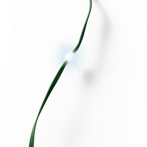 Светодиодная гирлянда Роса Micro Flex 27 м, 360 холодных белых LED, зеленый провод, контроллер, IP44 Kaemingk фото 6