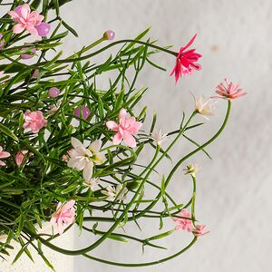 Искусственный цветок в горшке Хатиора 25 см, розовый Summer Deco фото 5