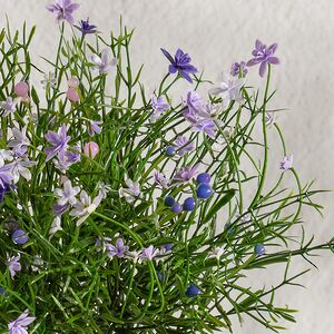Искусственный цветок в горшке Wild Violet 26 см Summer Deco фото 5