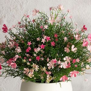 Искусственный цветок в горшке Ginosa 36 см, розовый Summer Deco фото 2
